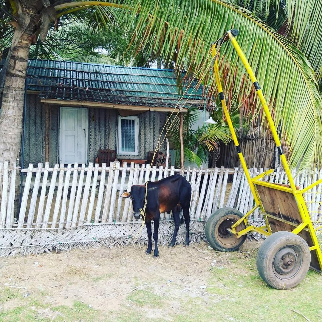 Kite Bay Villa カルピティヤ エクステリア 写真